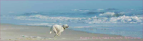 Ponte Vedra Beach Run